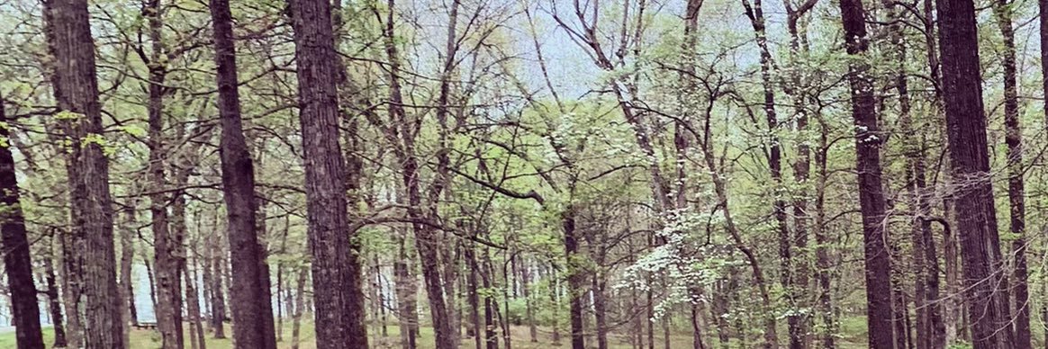 Dr. Lance McClard banner