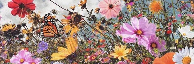 juliagdocr's profile banner image