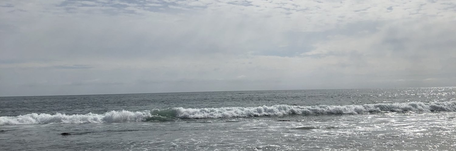 tyTrex69's profile banner image
