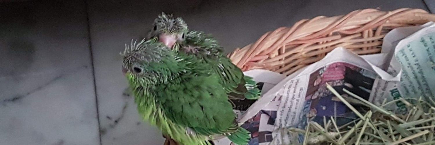 lek_000's profile banner image