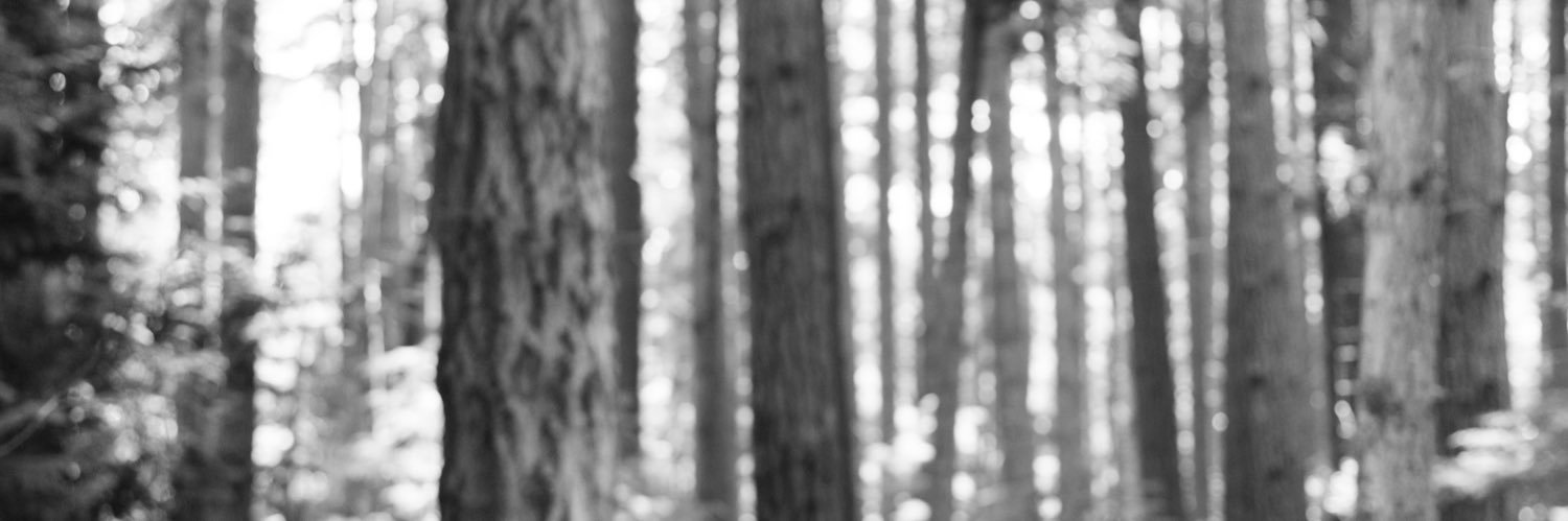 l_k_h's profile banner image
