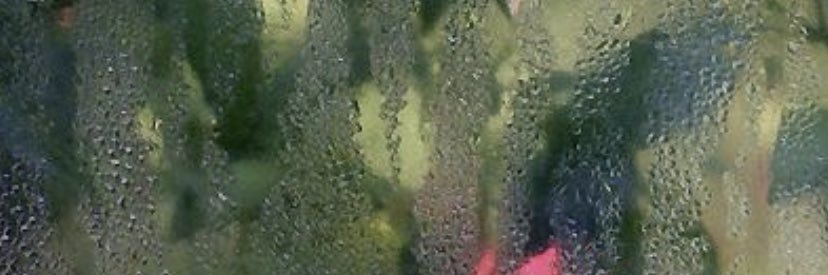 kaawpod's profile banner image