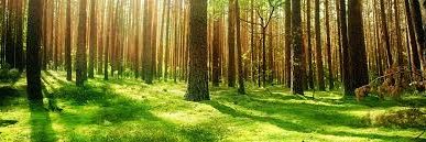 MrMillwardNZ's profile banner image