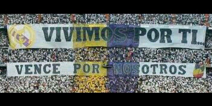 kito_paco's profile banner image