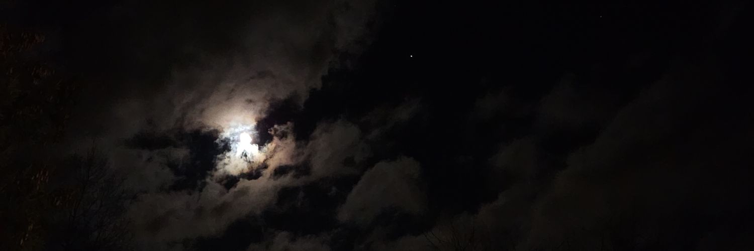 adiós nachito banner
