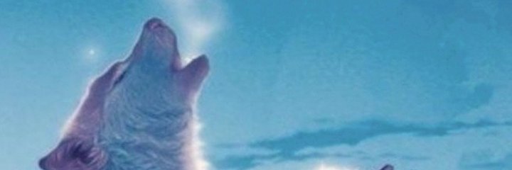 TinyBaker07's profile banner image
