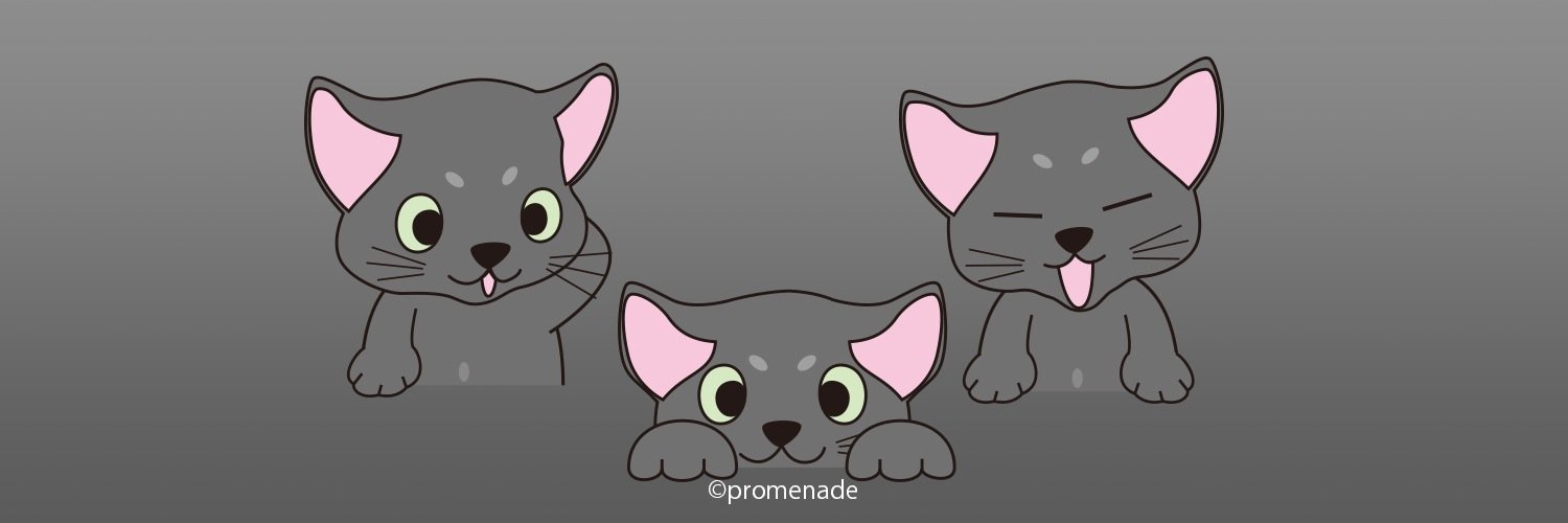 MinadukiS's profile banner image