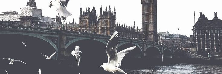 𝗔𝘂𝗿𝗶𝗴𝗮 𝗧𝗶𝗺𝘂𝗿 ☆ banner