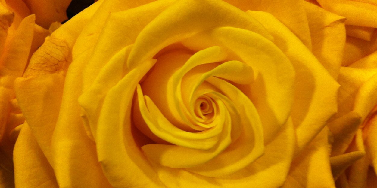 queeneagle79's profile banner image