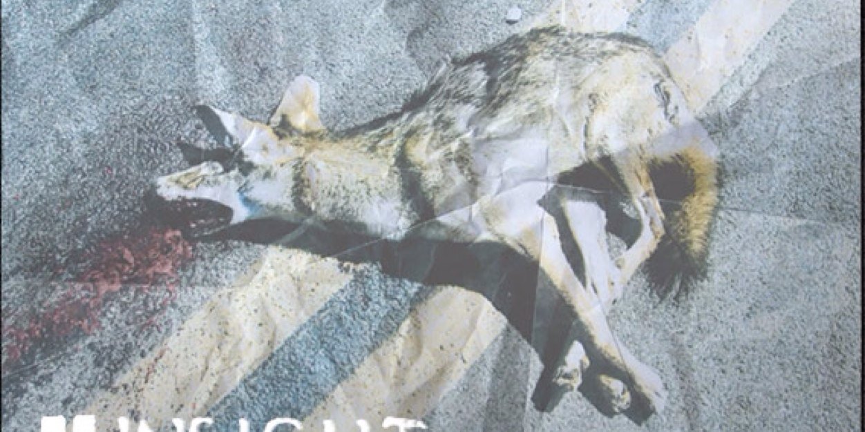 foxriots's profile banner image