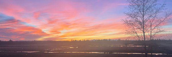 nicholas_wiskow Profile Banner