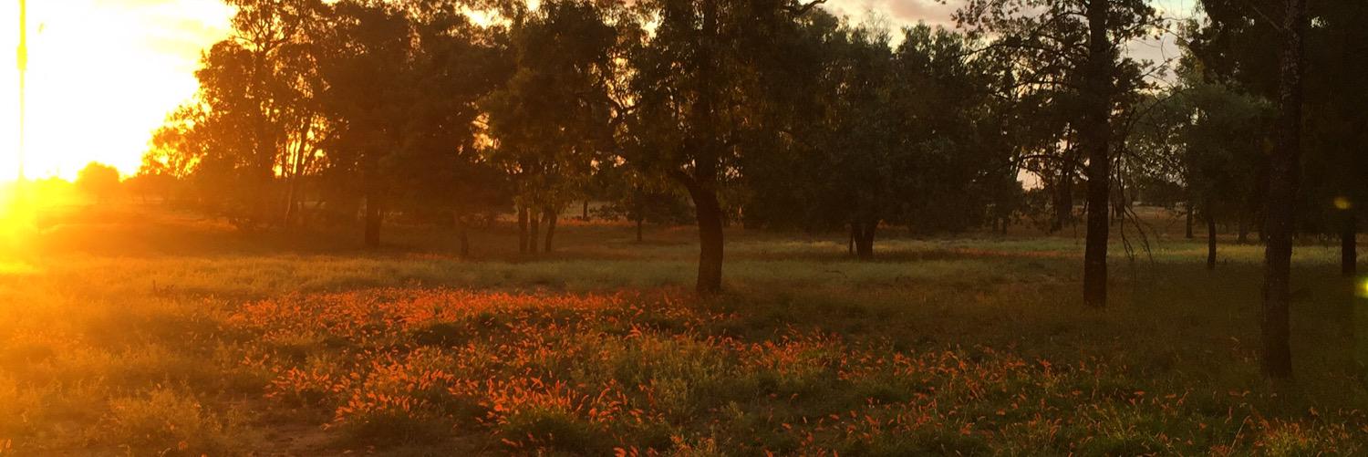 JessFarmersWife's profile banner image