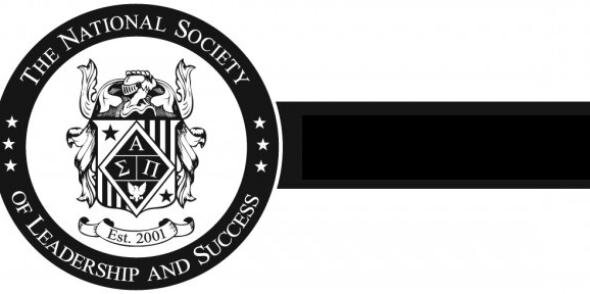 NSLS_MSU's profile banner image