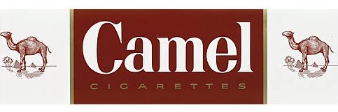Consistent Camel banner