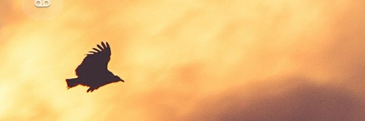 HectorCSanchez1's profile banner image
