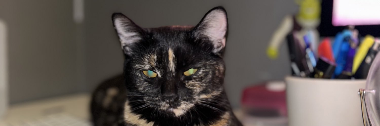 sithlordlilly's profile banner image