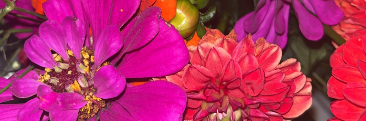 Anna_smith30's profile banner image