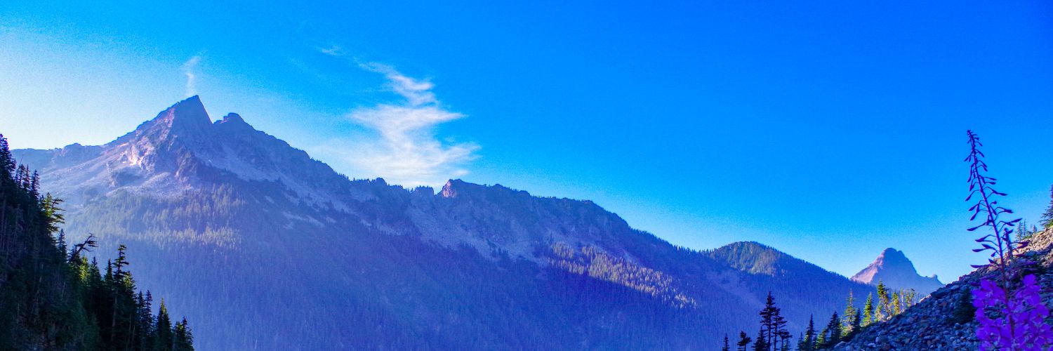 bhlam2's profile banner image