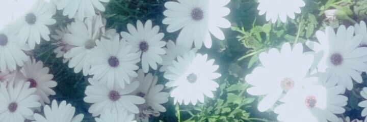 BasmaBassel's profile banner image