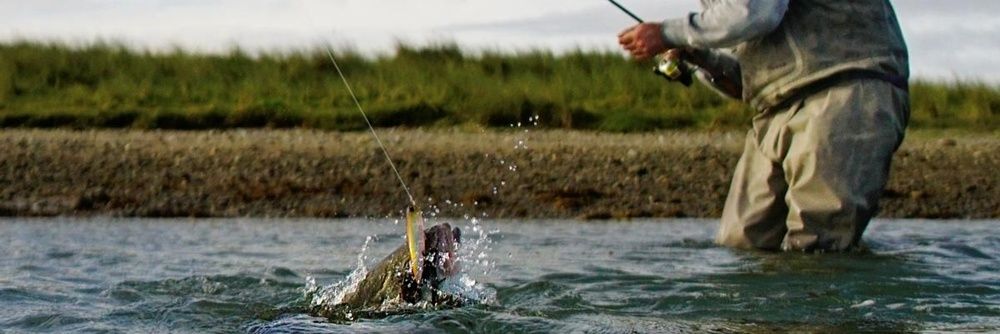 DichtamFisch's profile banner image