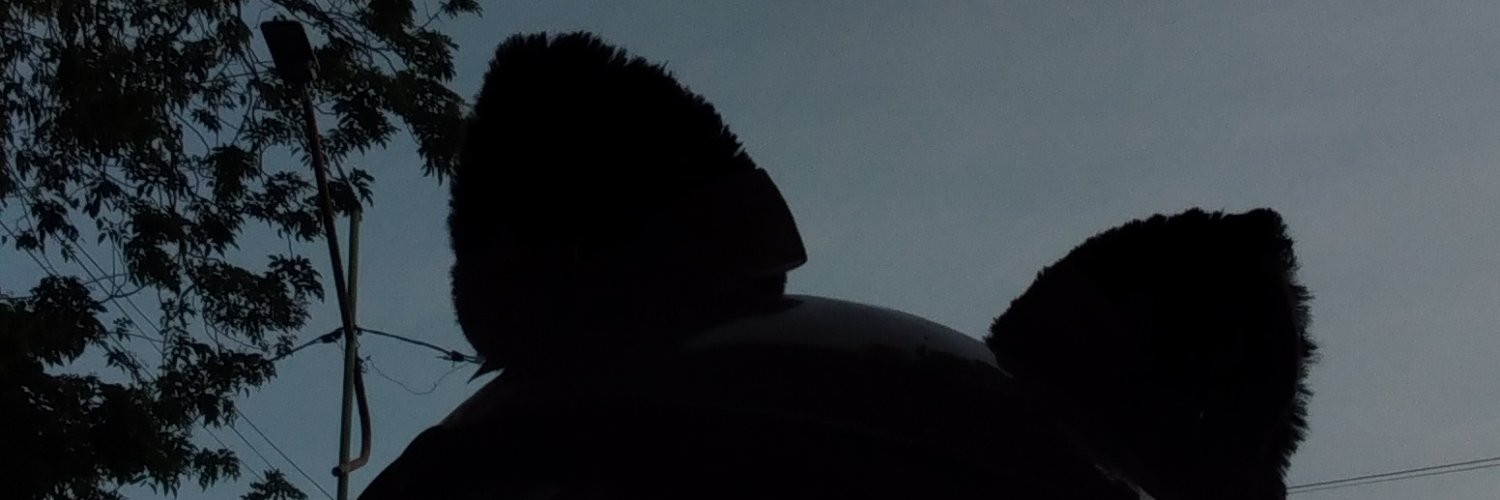 sylaa_33's profile banner image