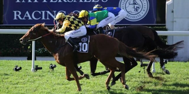Rod Northam Racing banner