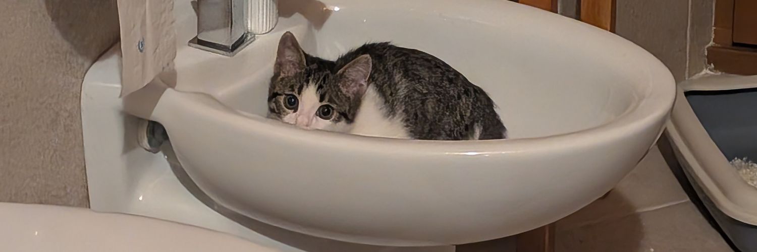 massimo bosetti banner