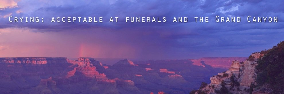 halface5's profile banner image