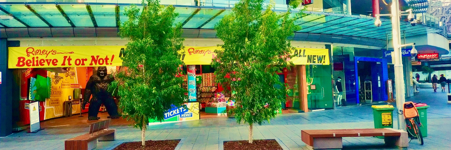 SurfersLocal's profile banner image