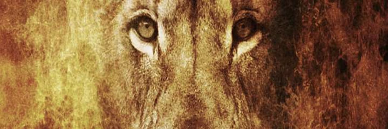 TheGhxstOne's profile banner image