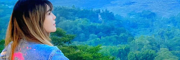 ViaVallen01 Profile Banner