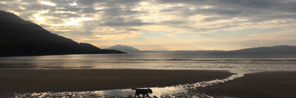 bronaghmcfeely Profile Banner