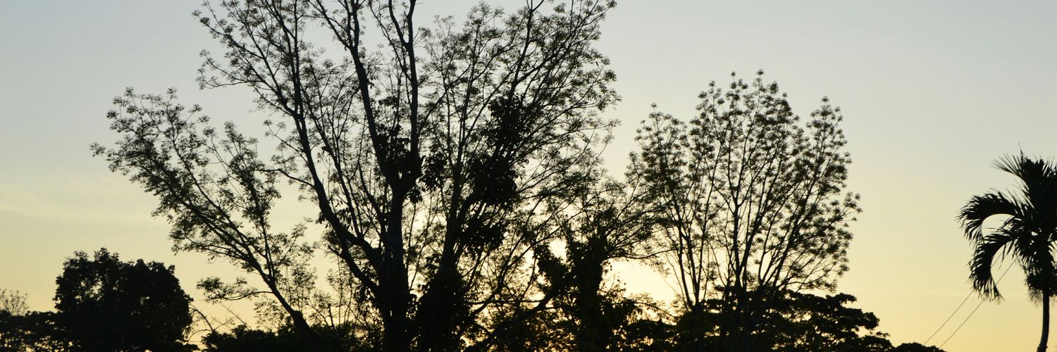 kimbermarudo's profile banner image