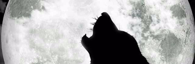 benjaminantho20's profile banner image