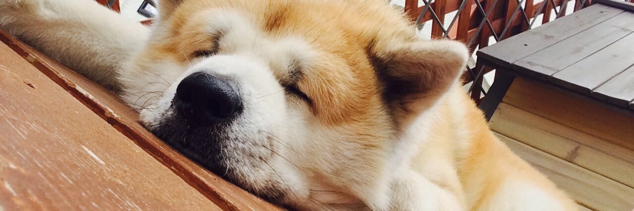 mizusonson's profile banner image