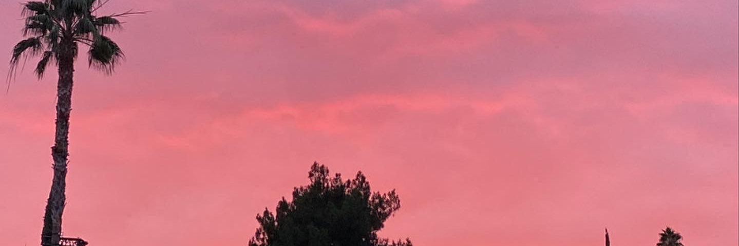 nooems_'s profile banner image