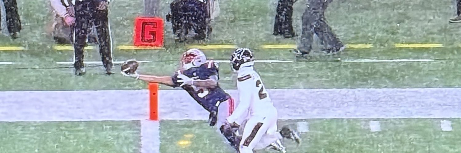 Thomas harris banner