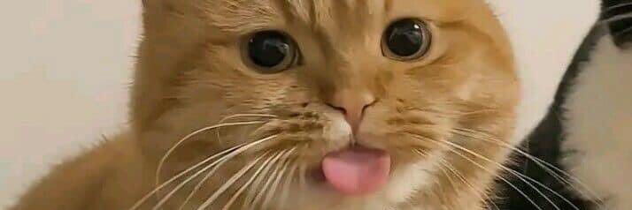 AHSAN Chaudhary👨🏻‍✈️😎 banner