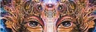 thewillnelson's profile banner image