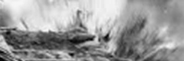 Hate_Nida's profile banner image