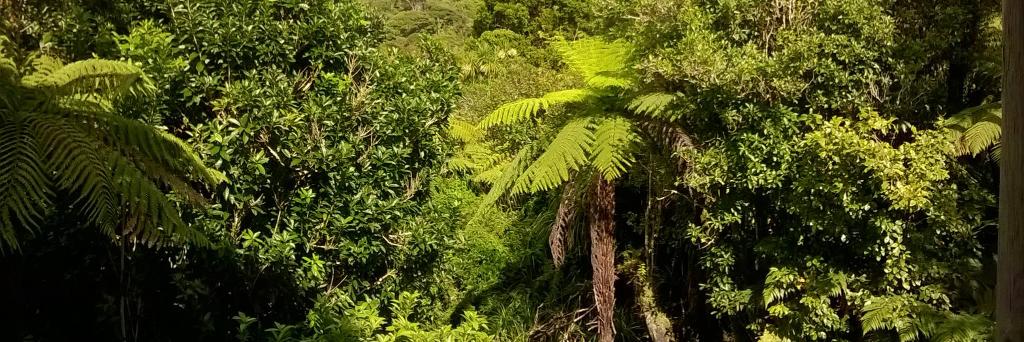 Melody Mason 🧡 banner