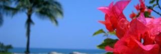 nosuke14283's profile banner image
