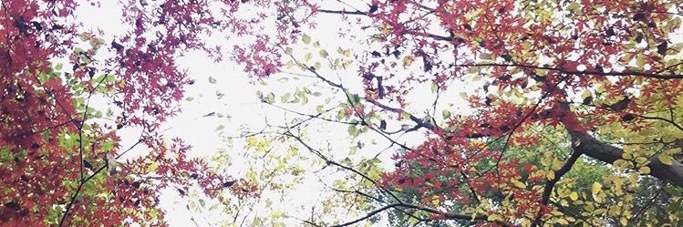 mepsssjo's profile banner image