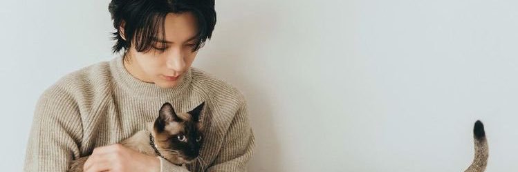 weishencat's profile banner image