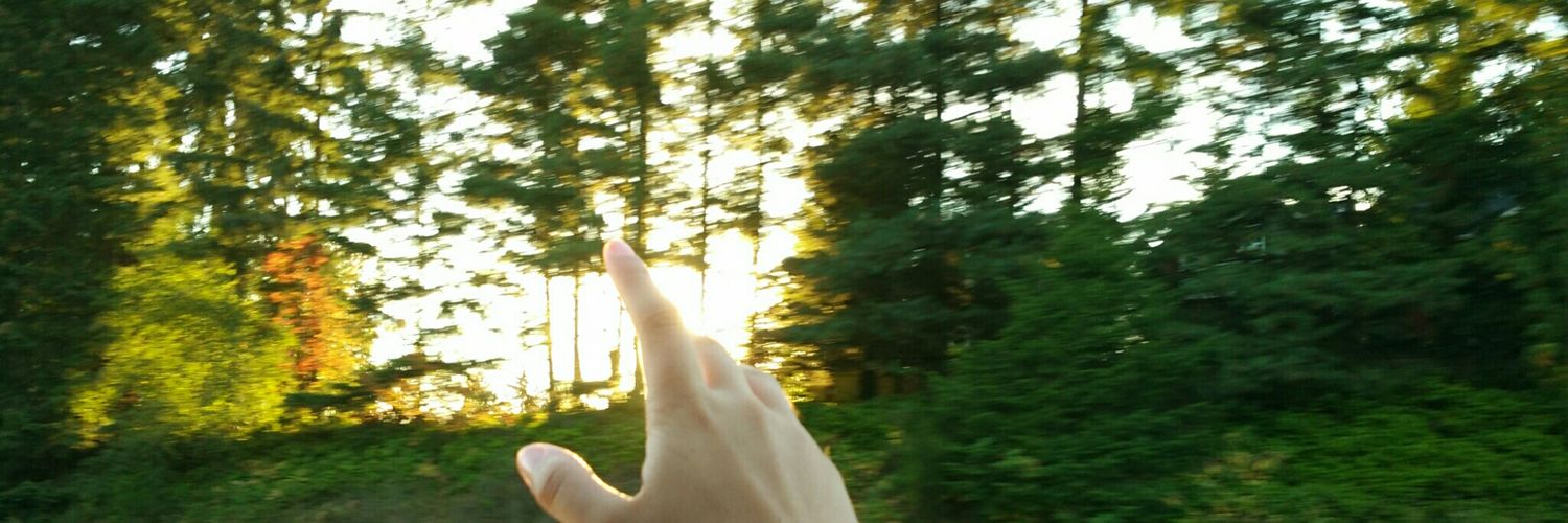 gsofibla's profile banner image
