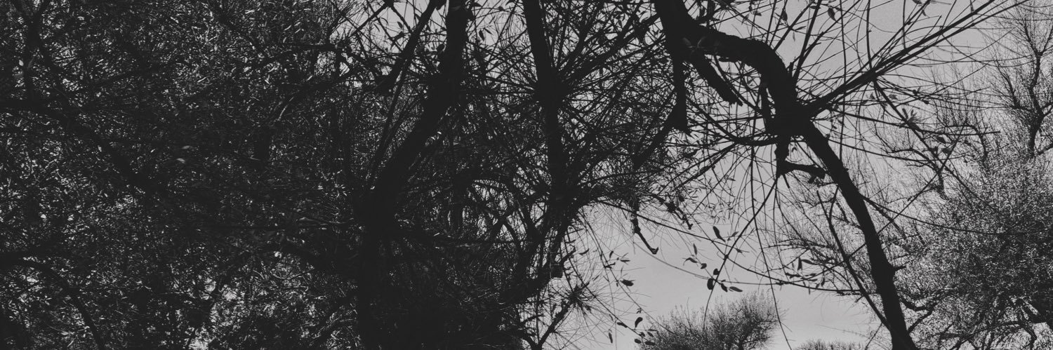rachitarora_'s profile banner image