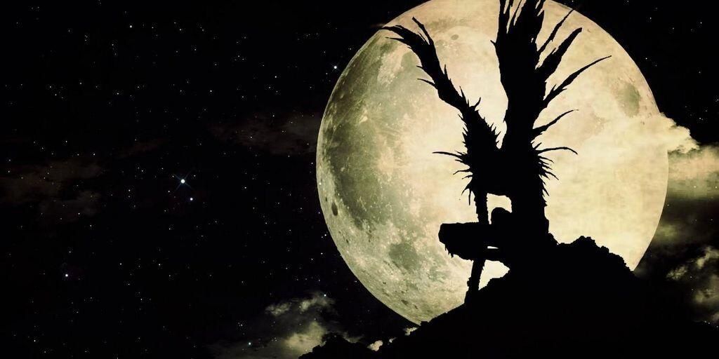 pitbosspatty's profile banner image