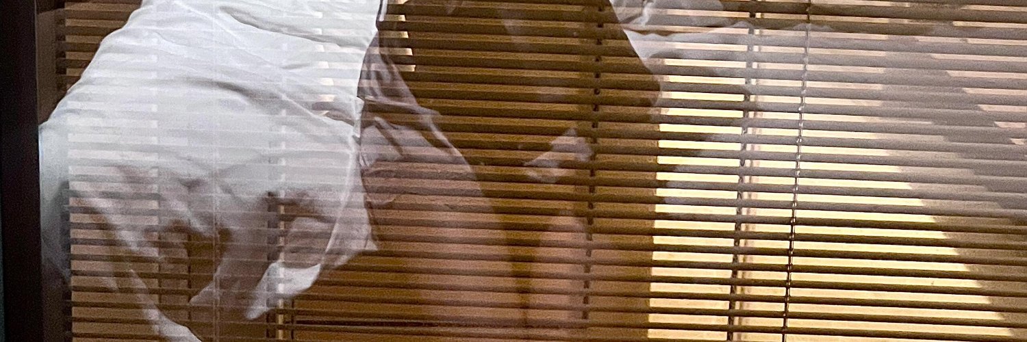 candy_kooken's profile banner image