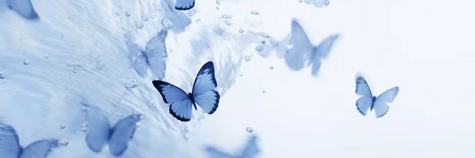 a13o4's profile banner image
