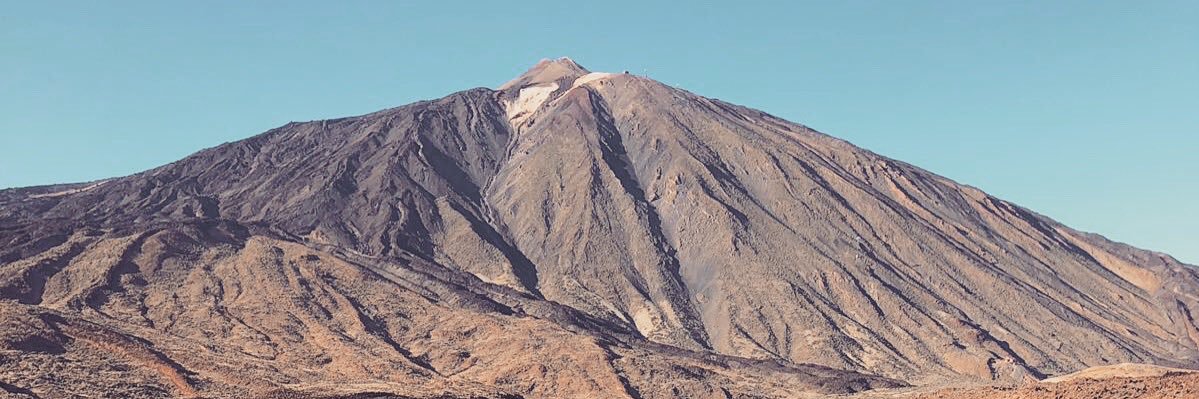 Alexander Rodríguez banner